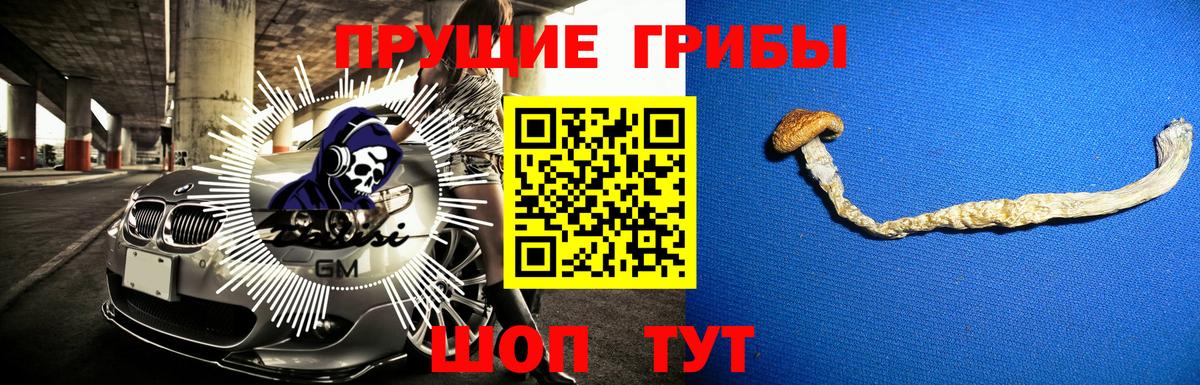 Галлюциногенные грибы Psilocybine cubensis Южно-Сахалинск